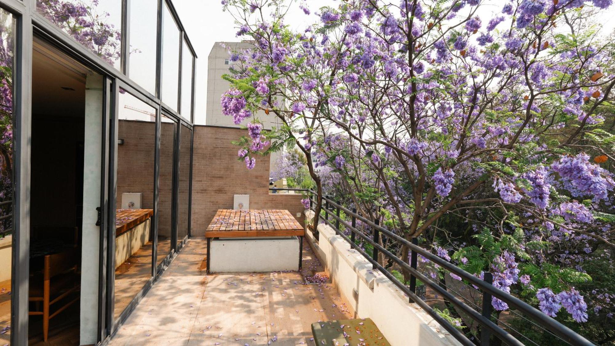 Rodona Hotel Ciudad de México Exterior foto